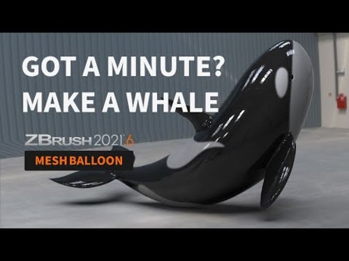 ZBrush 2023 지브러쉬 1년 기존 구독 갱신 (개인, 기업, 상업용) 지브러시